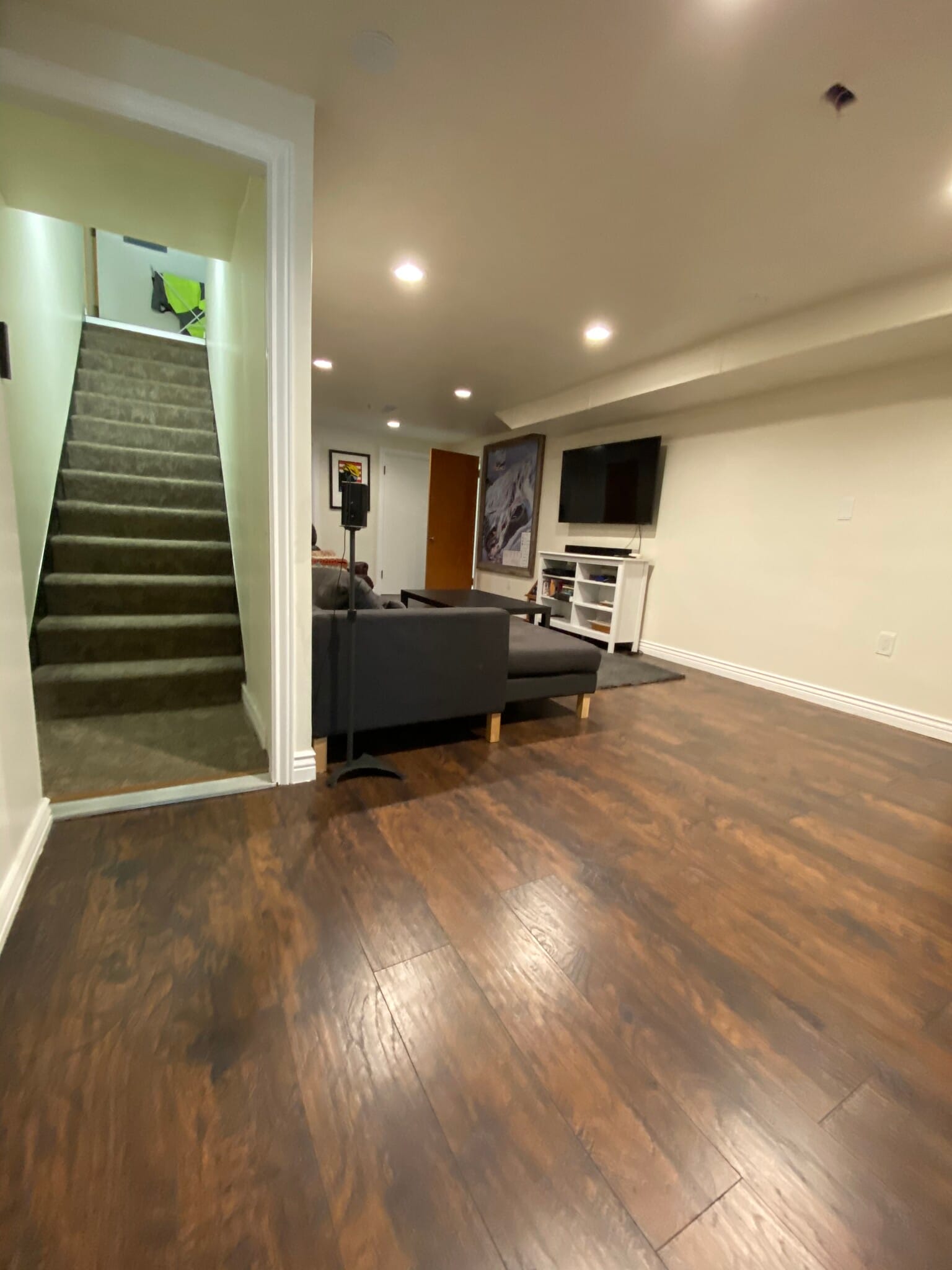 Basement living room - 1745 500 E