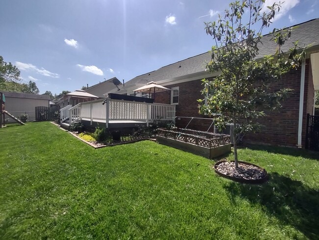 Building Photo - Beautiful Brick Ranch located in Cinnamon ...