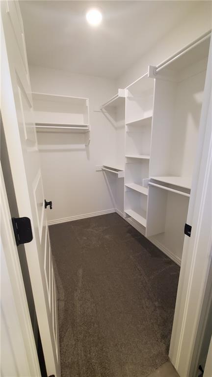 Building Photo - 702 Obsidian Ct
