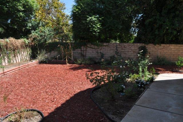 Building Photo - 2174 Shadetree Ln