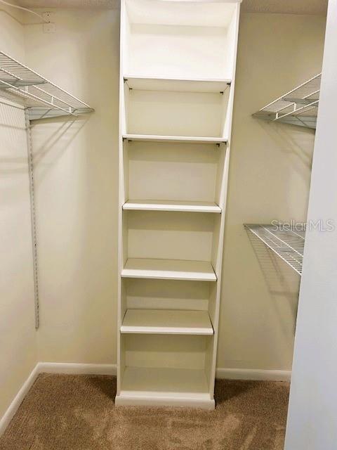 Building Photo - 2611 Bayshore Blvd