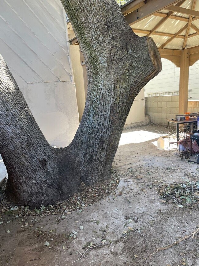 Building Photo - Minutes from Lake Arrowhead!