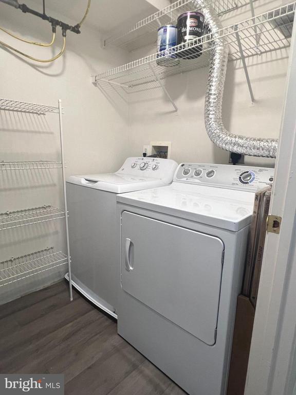 Building Photo - 7532 Coxton Ct