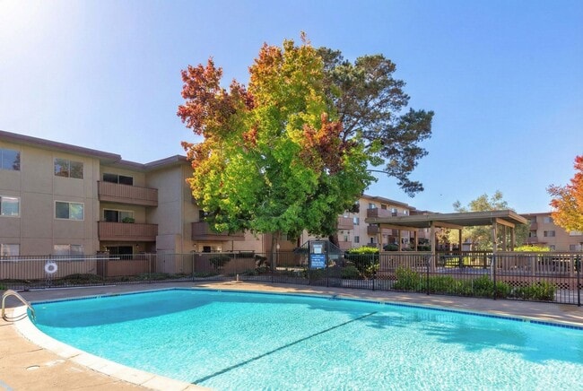 Building Photo - Modern 2-Bedroom Condo with Pool and Koi Pond Views