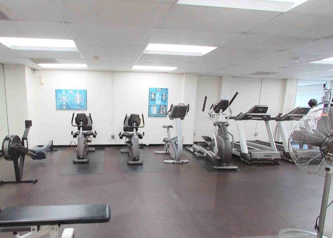 Building Photo - Spacious Studio Apartment in Cleveland Park