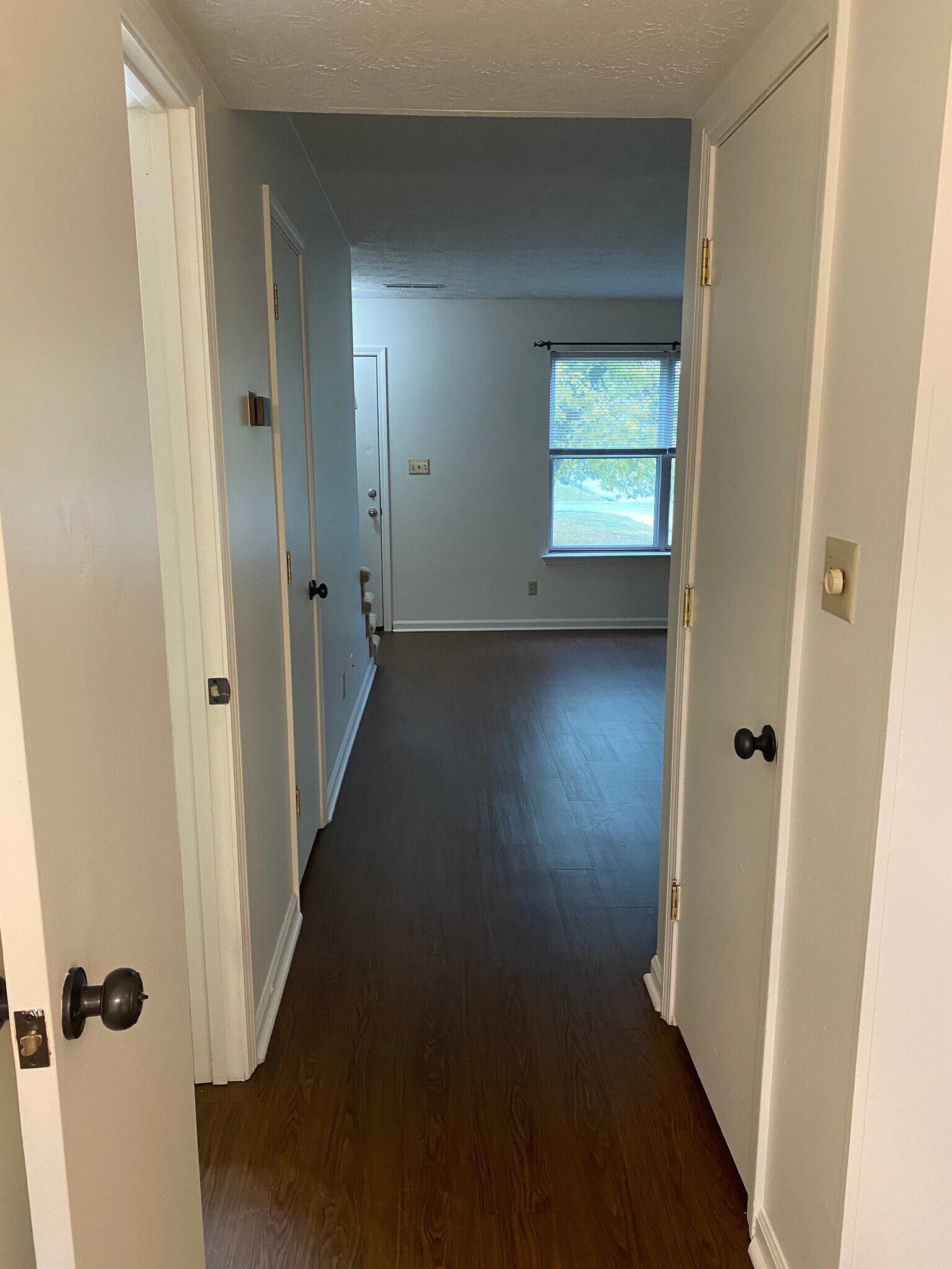 Building Photo - 516 Deer Lick Pl