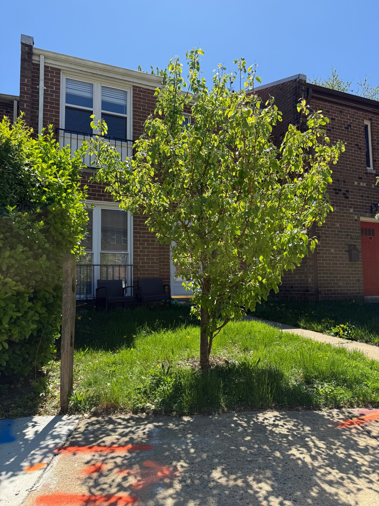 Building Photo - 238 Stevenson Sq