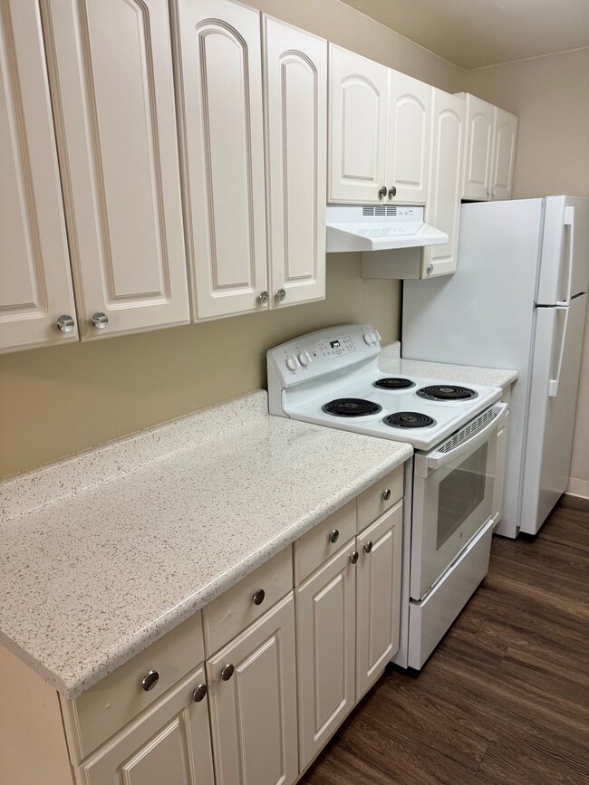 Building Photo - Olive Court Apartments