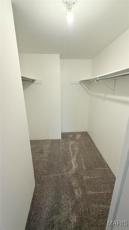 Building Photo - 1464 Hawks Nest Ct