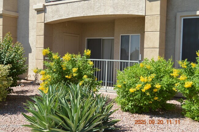 Building Photo - 16013 S Desert Foothills Pkwy