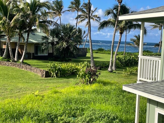 Building Photo - 54 -337 Kamehameha Hwy #5B
