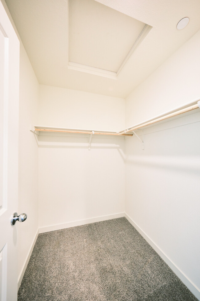 Building Photo - 2129 Shady Tree Cir