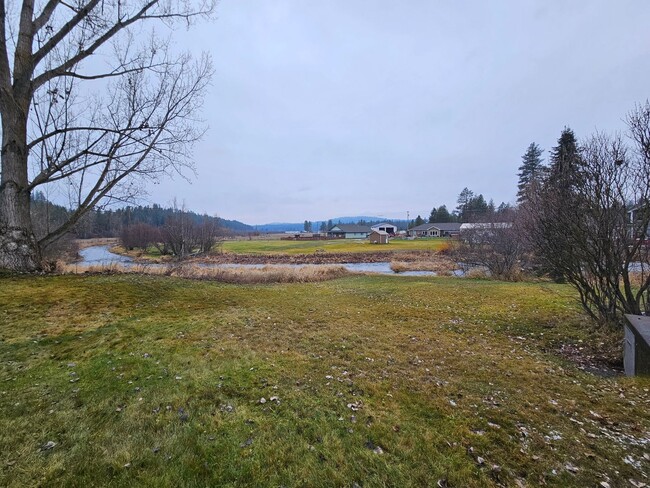 Building Photo - Cozy Home in Chattaroy