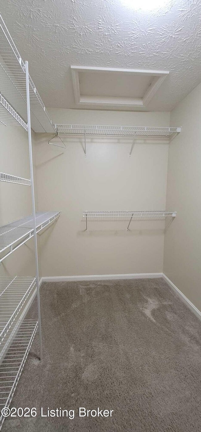 Building Photo - 5603 Collington Ct