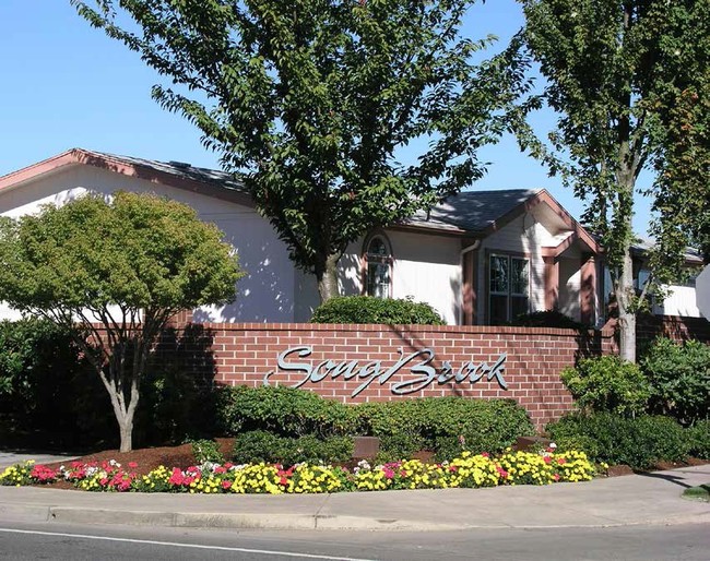 Primary Photo - SongBrook