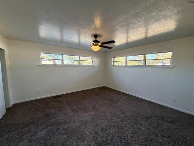 Building Photo - 4508 Bermuda Ln