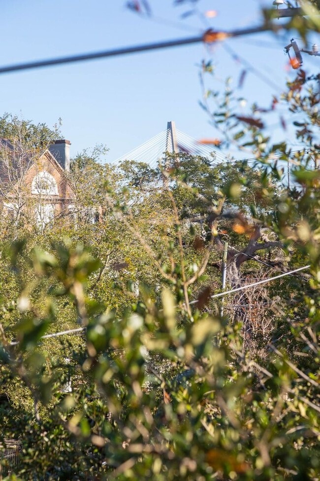 Building Photo - 89 Alexander St