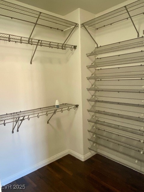 Building Photo - 11238 Star Lily St