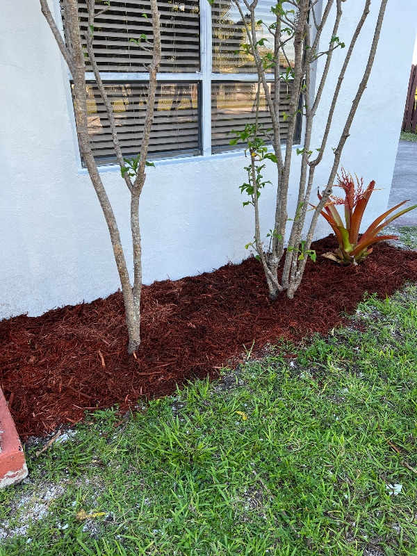 Building Photo - 195 Street, NW 42 Ave
