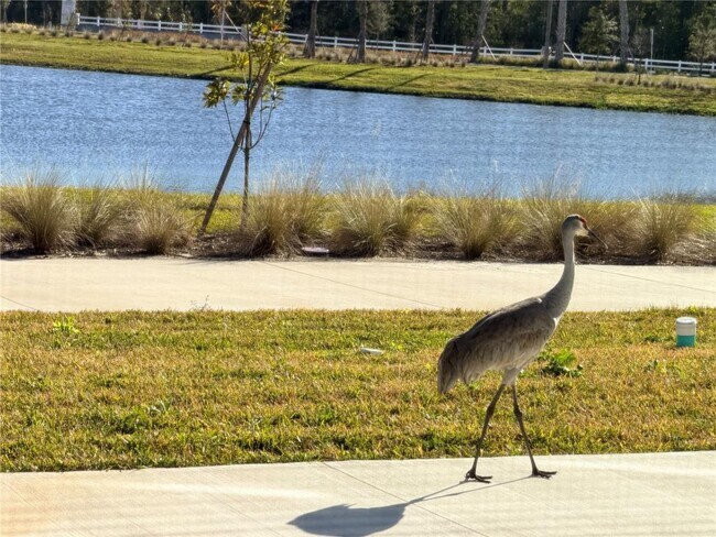 Building Photo - 9948 Red Canoe Aly