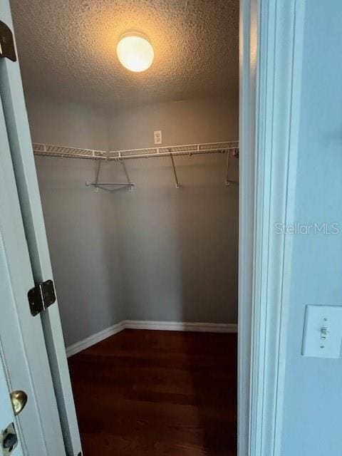 Building Photo - 355 Sonja Cir