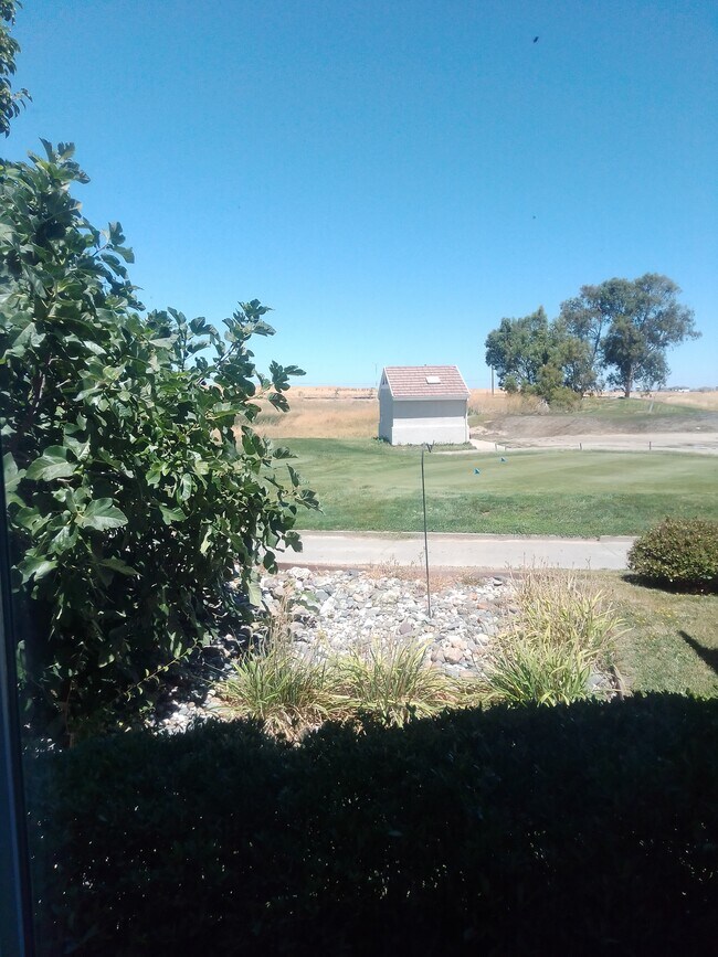 Building Photo - 377 Gold Hills Dr