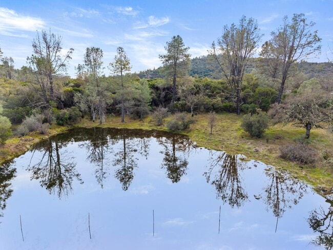 Building Photo - 14506 Spruce Grove Rd