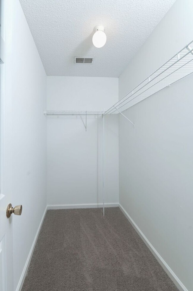 Building Photo - Freshly Updated 3 bedroom Home with New Ro...