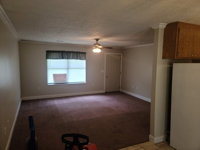 Building Photo - 929 Beverly Hills Dr