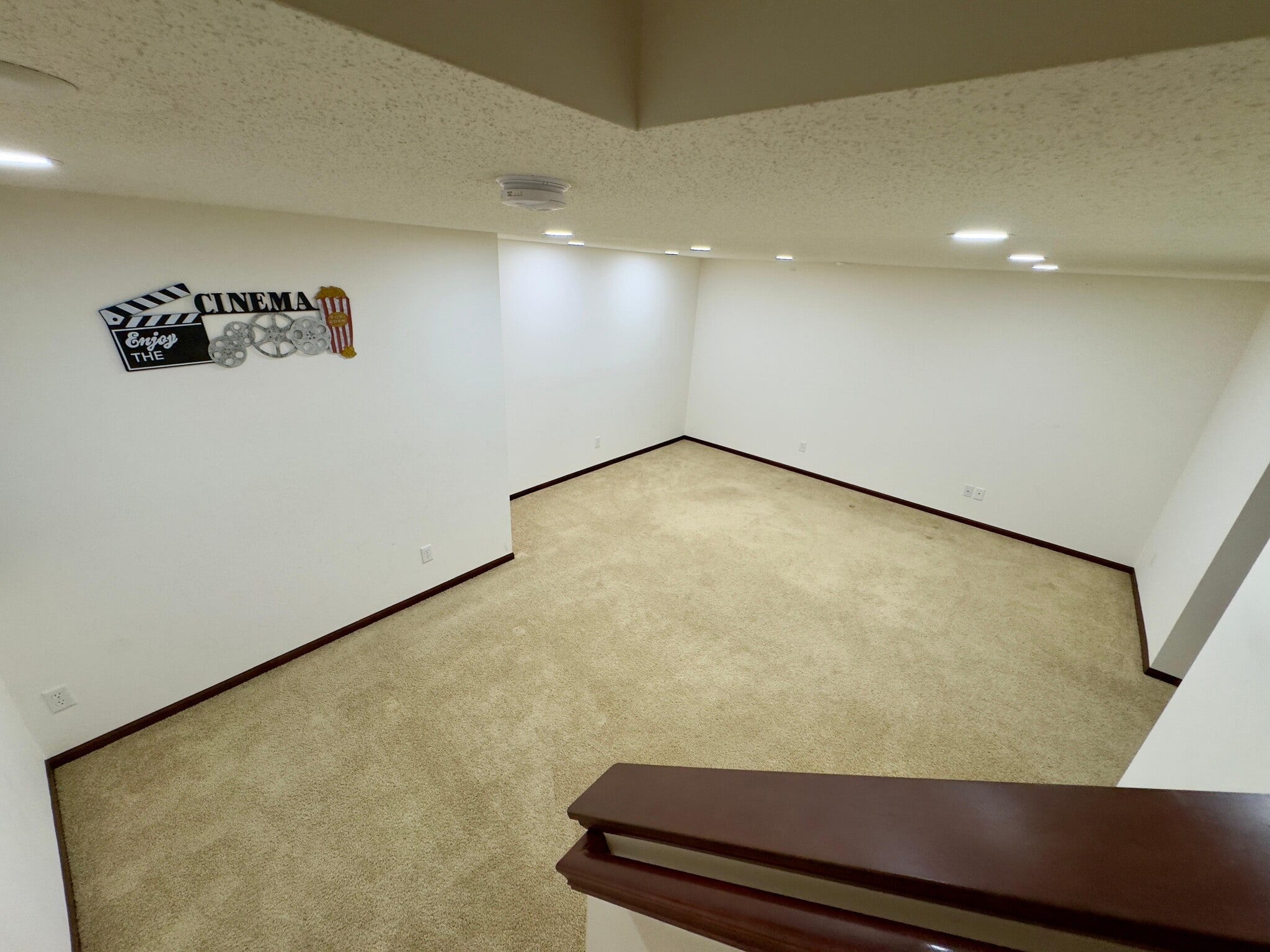 Basement family room - 10006 Pincherry Ln