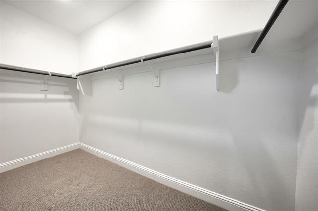 Building Photo - 411 Willet Dr