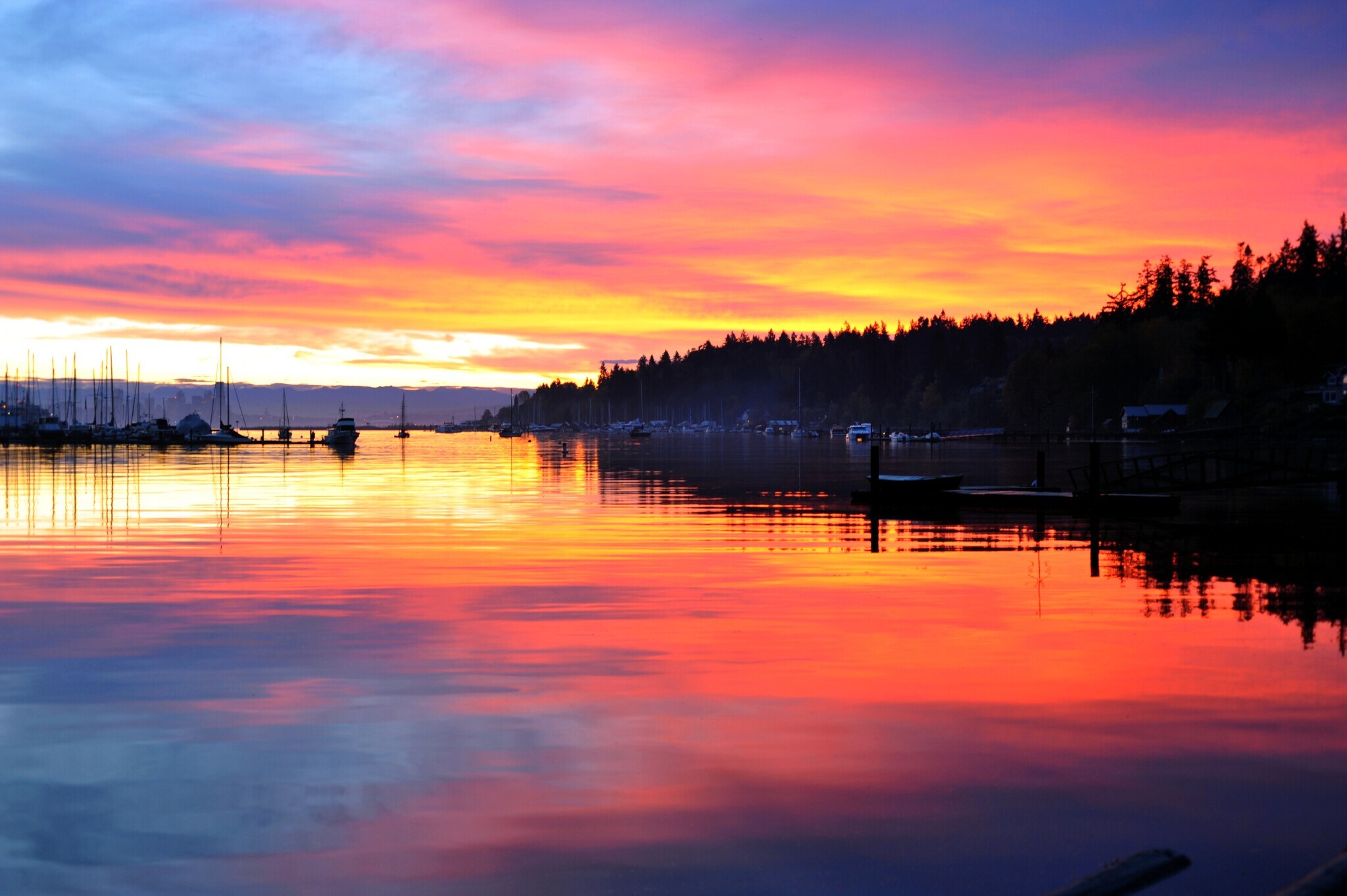 Building Photo - 6246 NE Eagle Harbor Dr