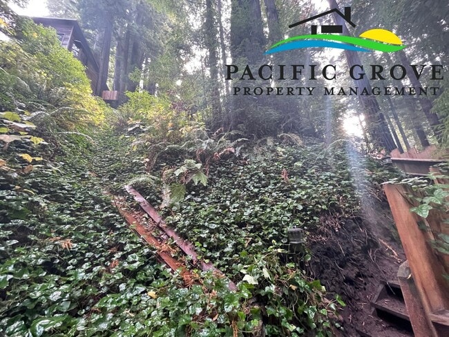 Building Photo - Cabin on Palo Colorado