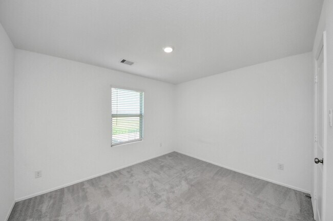 Building Photo - 4307 Palmetto Grv Ln