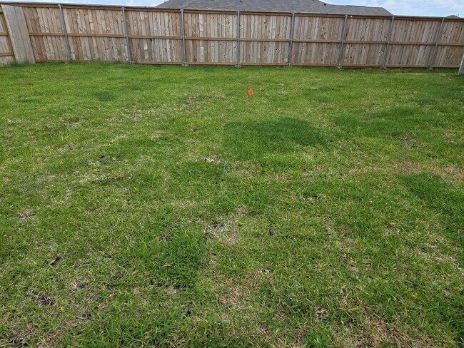 Building Photo - 26706 Dalmatian Bellflower Dr