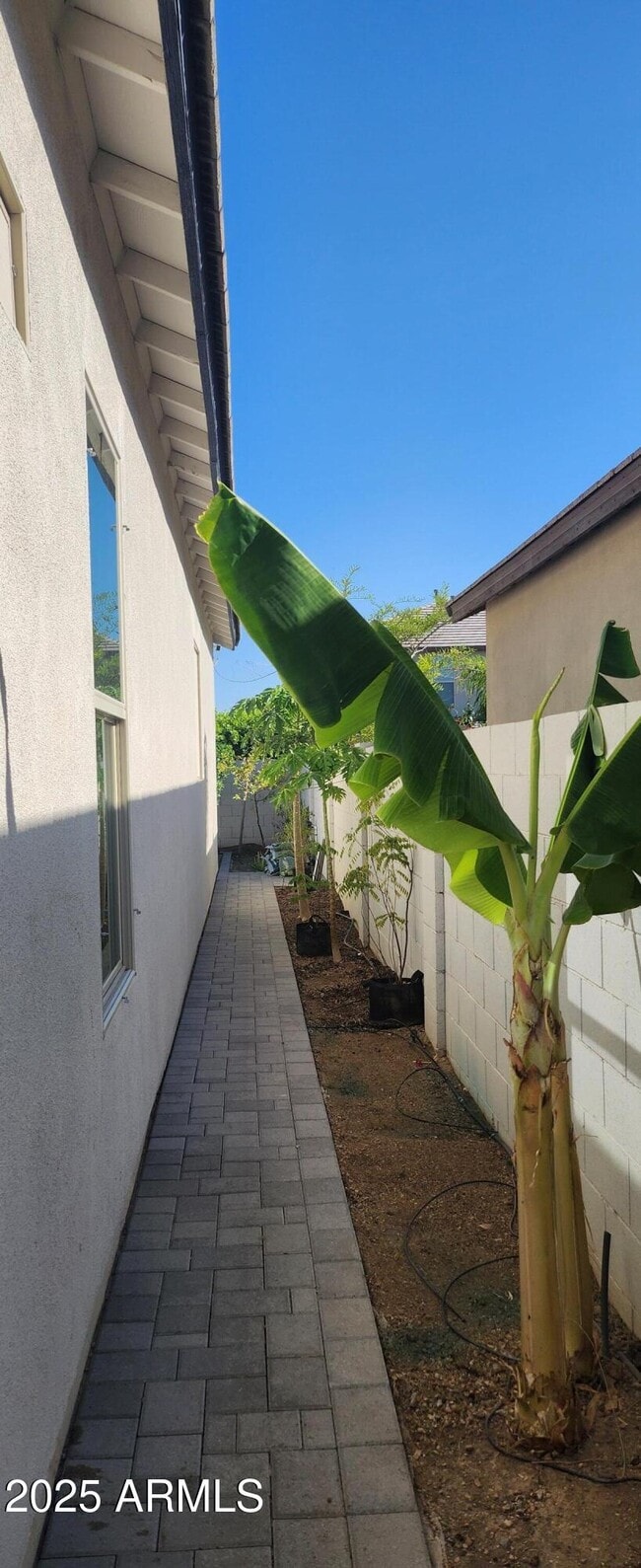 Building Photo - 6621 E Villa Rita Dr