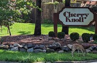 Building Photo - 723 Whitcomb St