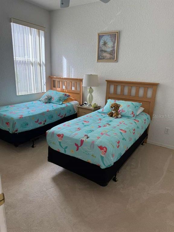 Building Photo - 543 Birkdale St