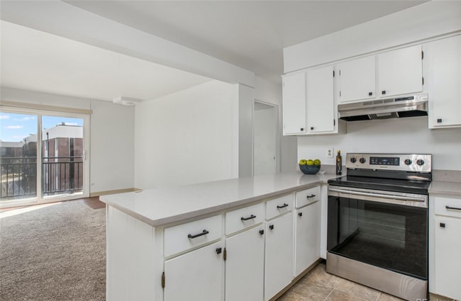 Building Photo - 1BD/1BA Condo in Denver!