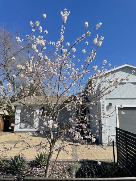 Building Photo - 5868 Lean Way