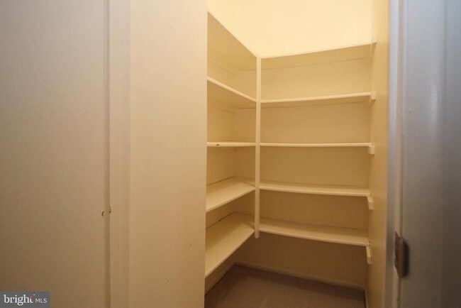 Building Photo - 2238 White Cornus Ln