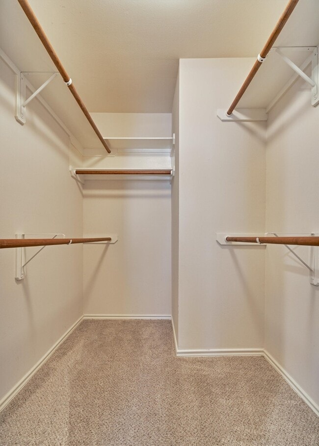 Building Photo - 10 Musgrove Pl