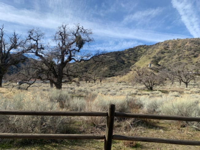 Building Photo - 1042 Squirrel Ln