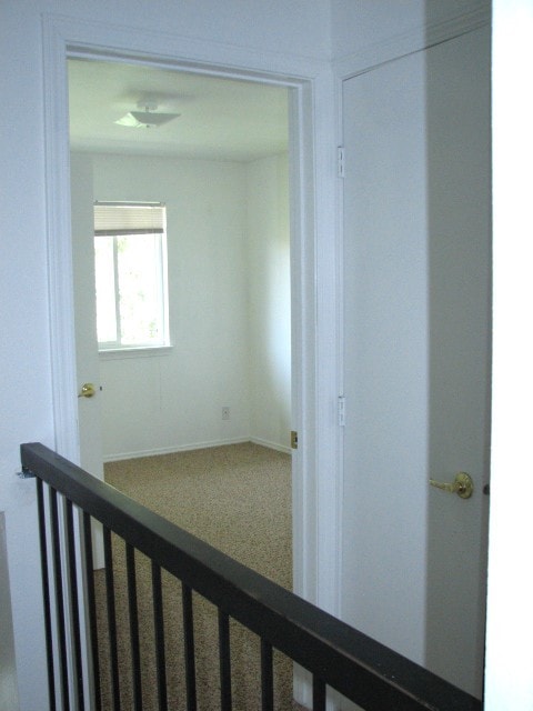 Building Photo - Britta's Bay Apartments