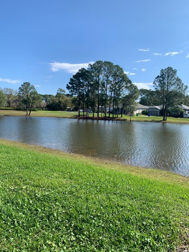 Building Photo - 3/2 Pool Home in Manderley Run