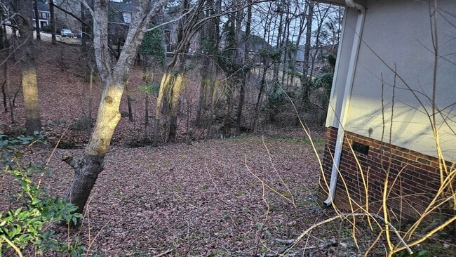 Building Photo - 4850 Birdwood Ct