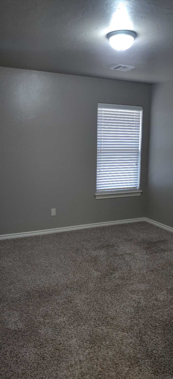 grey paint throughout - 205 Ashley Dr