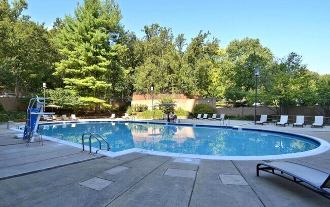 Building Photo - Spacious 2BD/1BA Condo with Glorious Views!