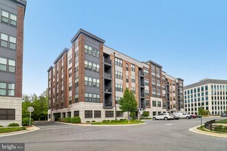 Building Photo - 3503 Bellflower Ln
