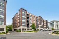 Building Photo - 3503 Bellflower Ln